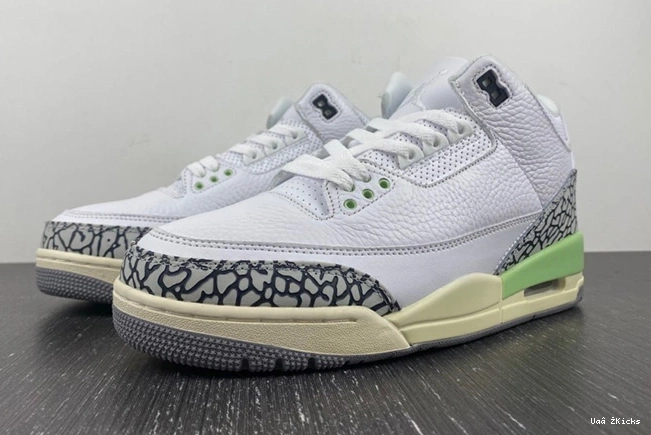SmartChoice Jordan 383 Retro CK9246 3 102 0912
